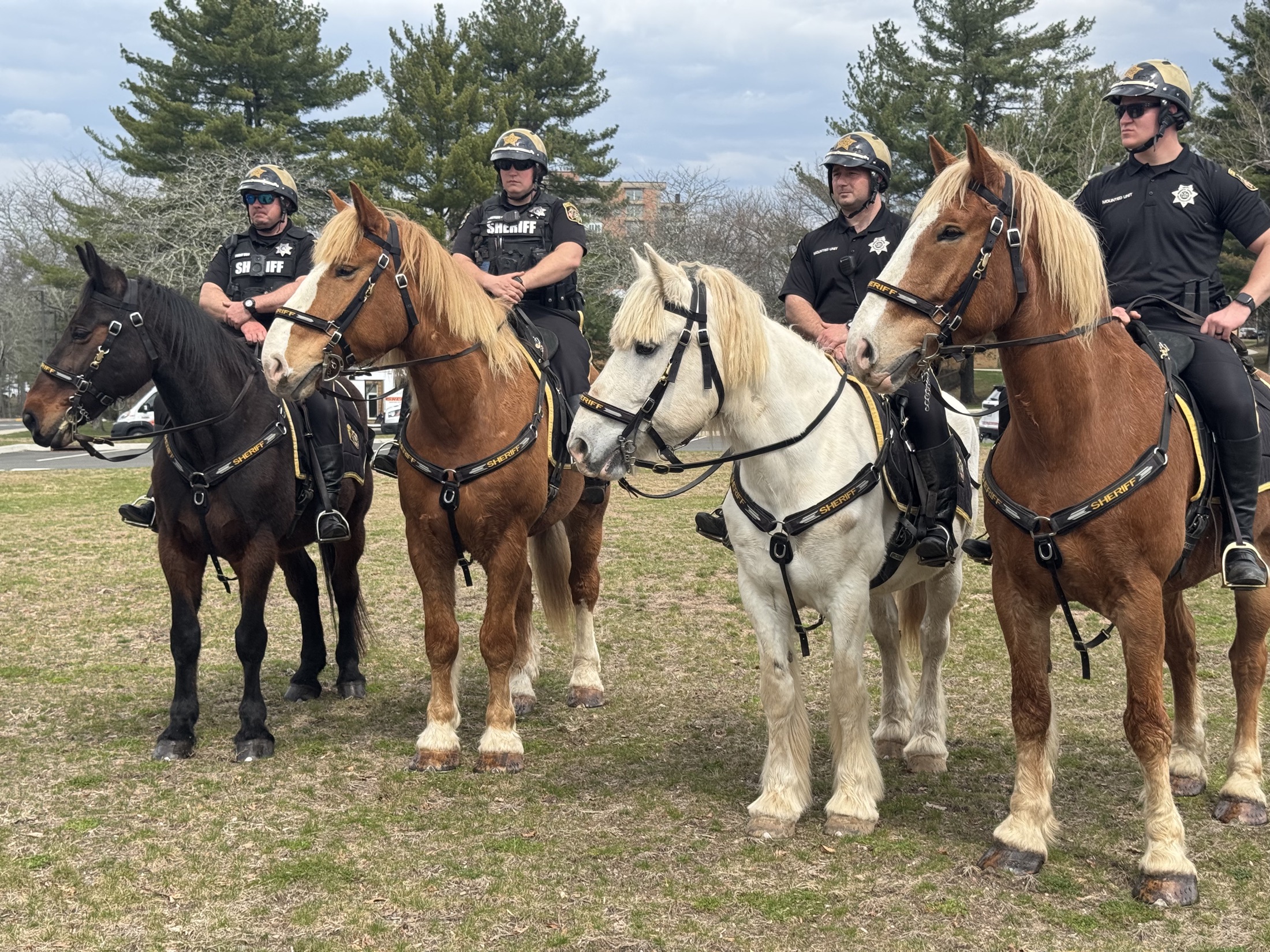 Mounted sheriff unit career exploration experience